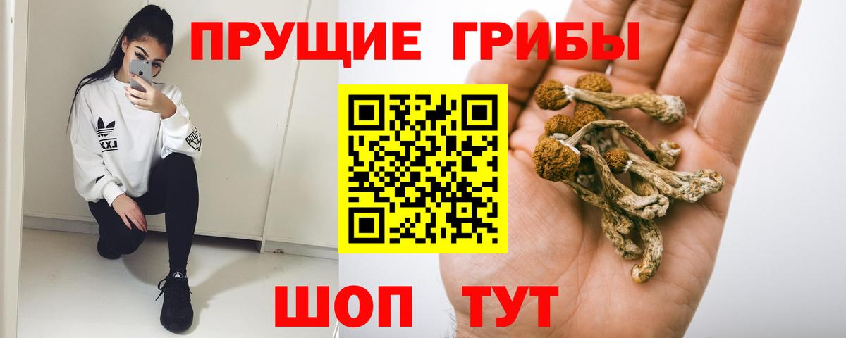 Псилоцибиновые грибы GOLDEN TEACHER  где продают наркотики  Стрежевой  Псилоцибиновые грибы прущие грибы  Вход с VPN 